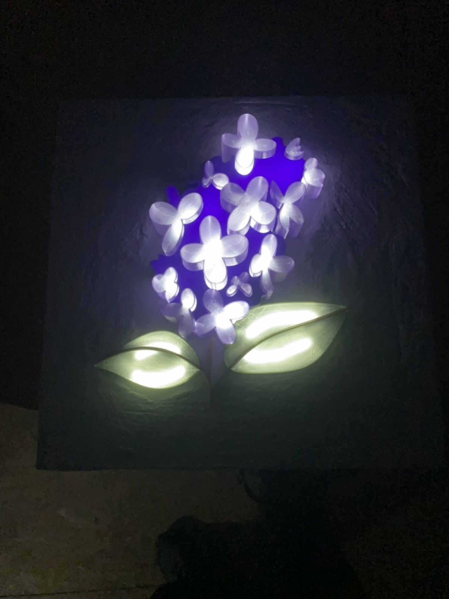 Flieder Leuchtbild — Lichtversum